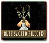 IMG-BlueSackedPillock5.png