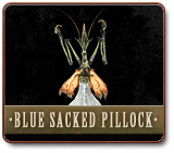 IMG BlueSackedPillock5