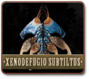 XENODEFUGIO SUBTILTUS